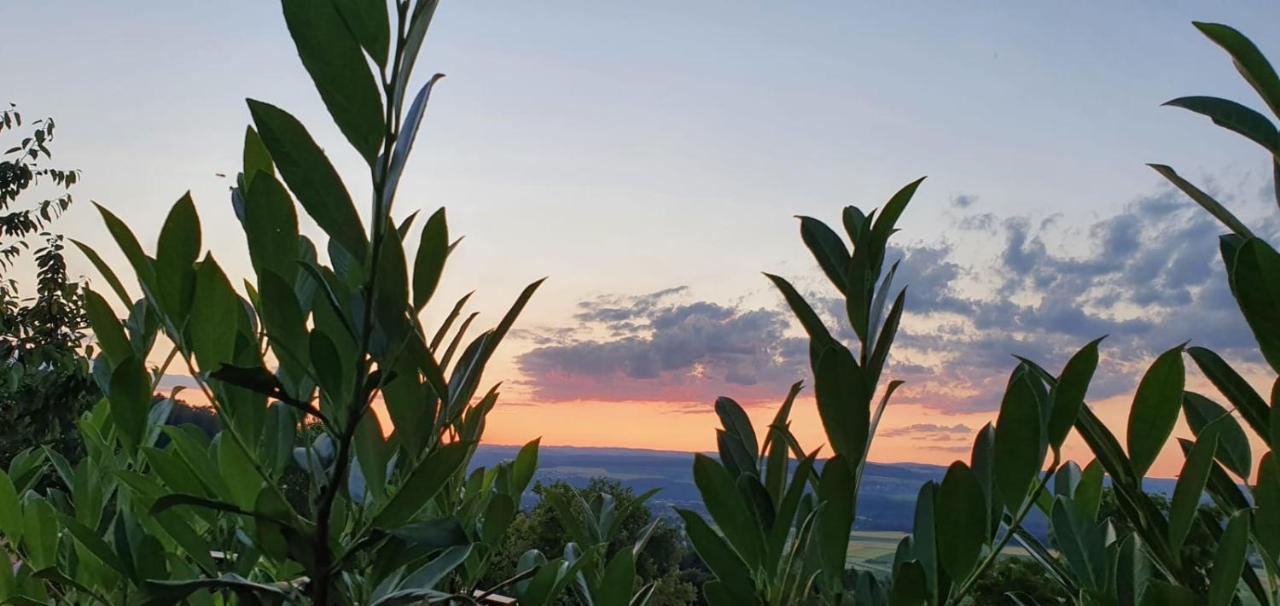 Ferienwohnung-Panoramablick-Kuessaberg Kussaberg Dış mekan fotoğraf