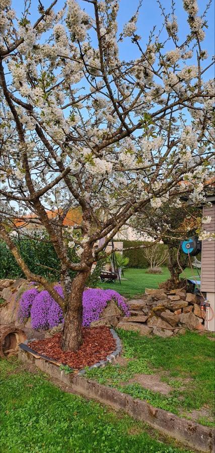 Ferienwohnung-Panoramablick-Kuessaberg Kussaberg Dış mekan fotoğraf